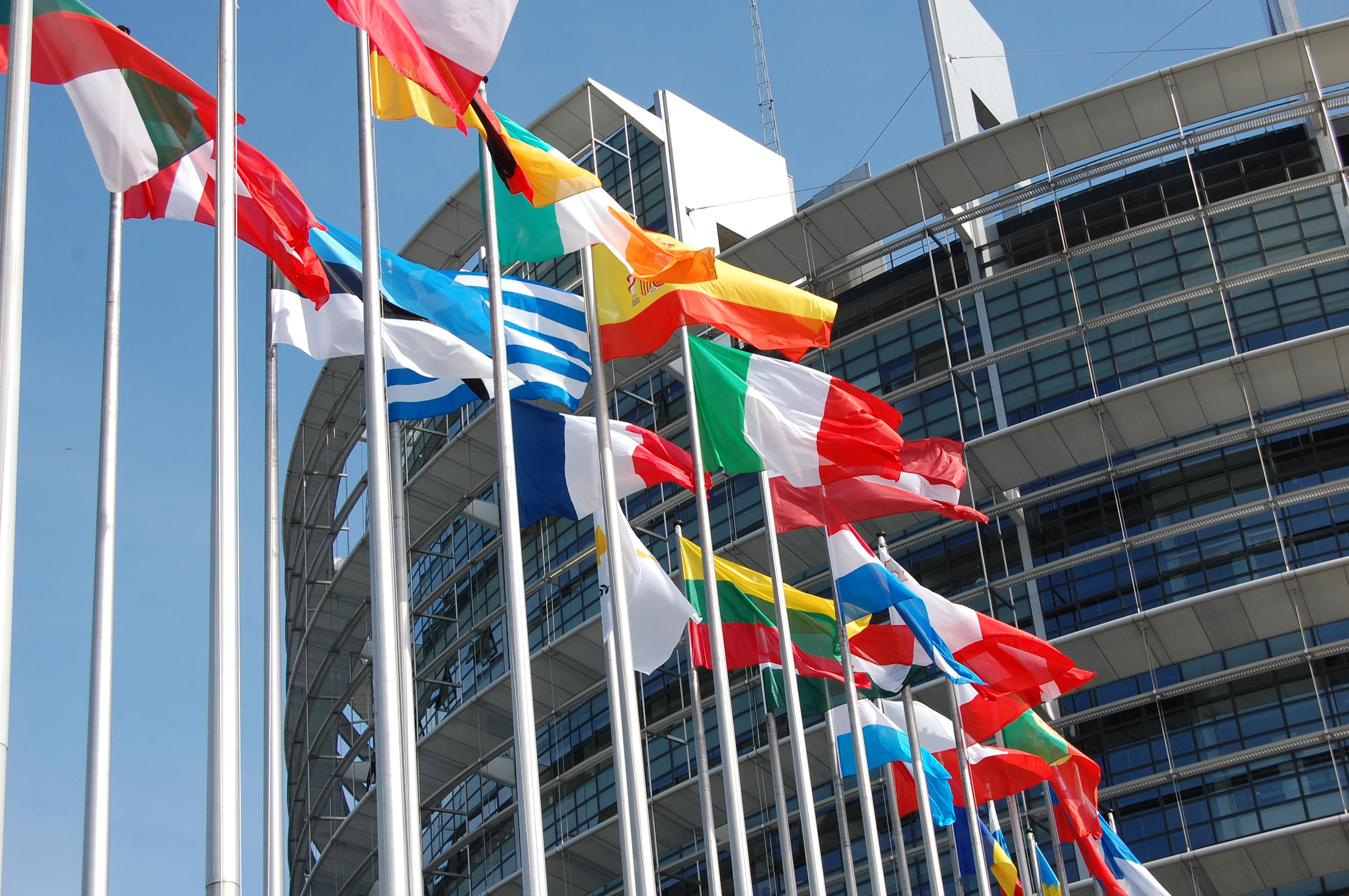 parlament europejski flagi - Andrzej Grzyb.eu