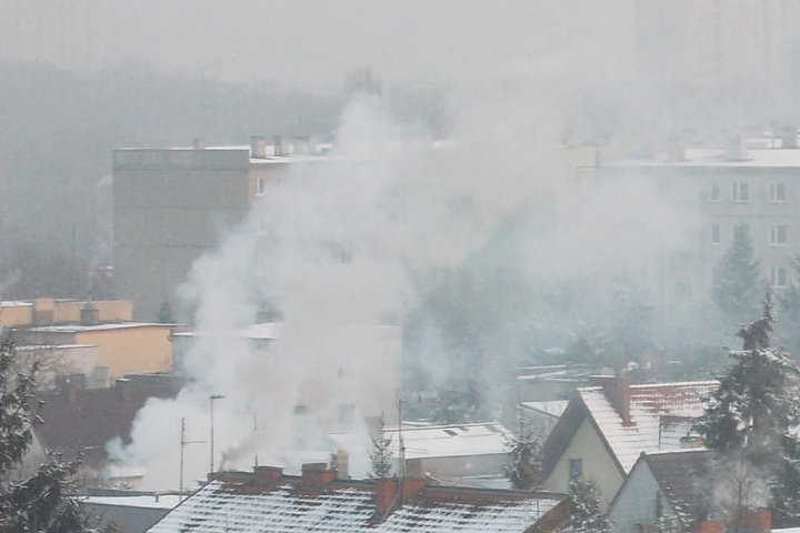 program kawka dym nad miastem zima - Urząd Miasta Poznania