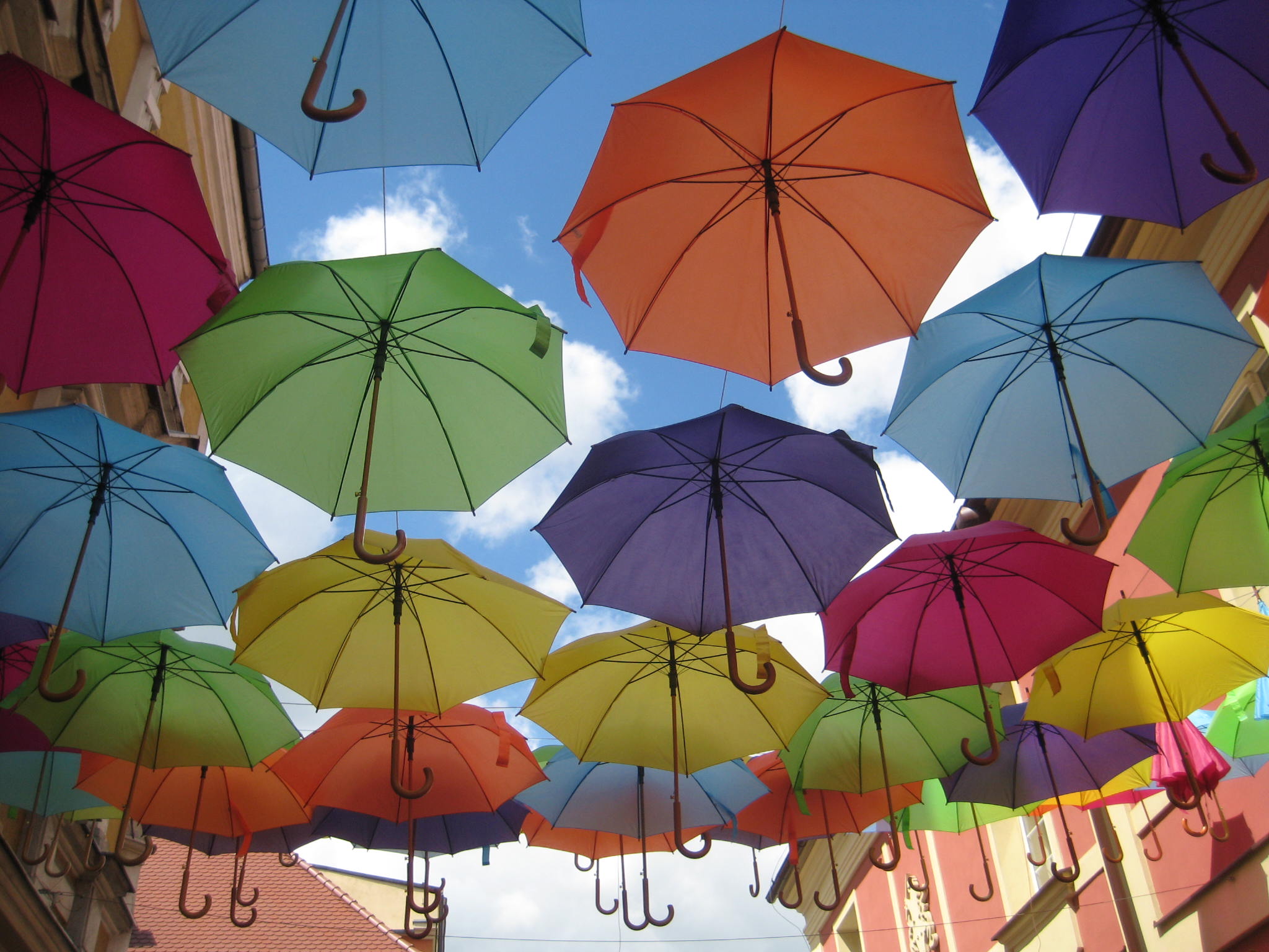 parasole  - Jacek Marciniak