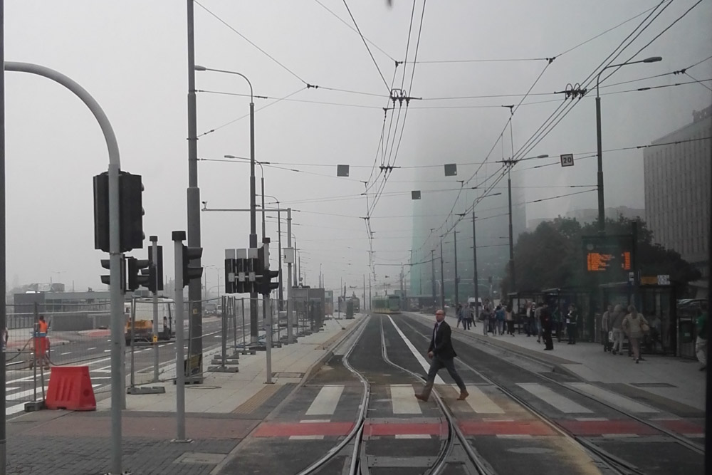 mgła nad miastem letnia (2) - Tomasz Żmudziński