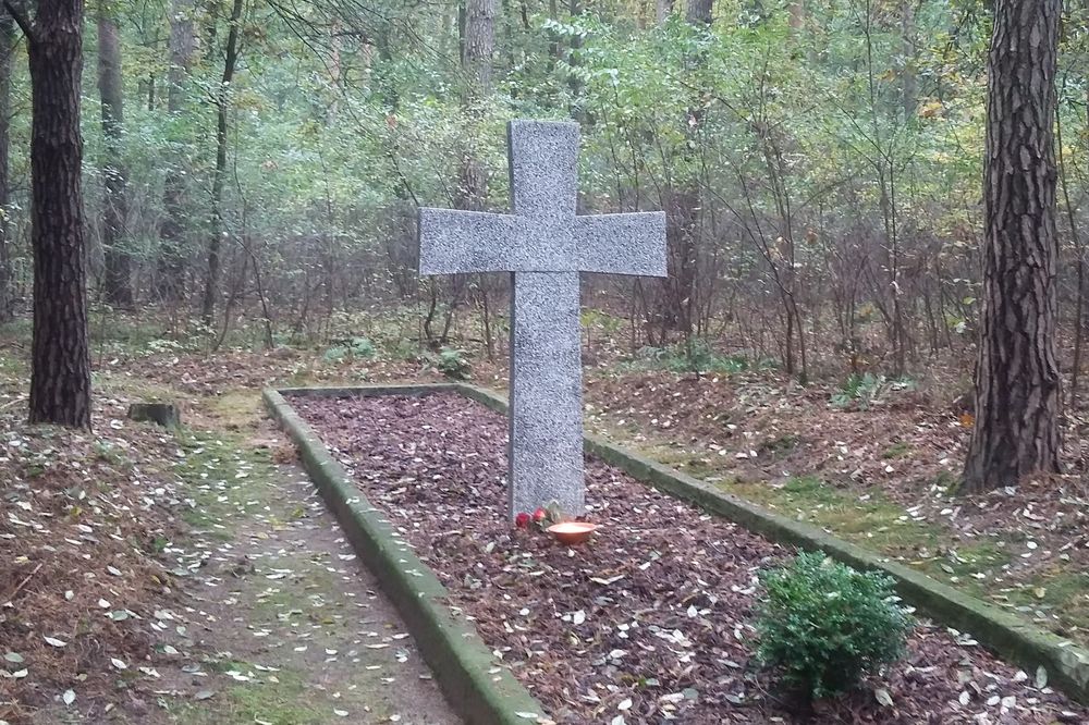 Znicze przy grobach w Lasach Zakrzewskich 
