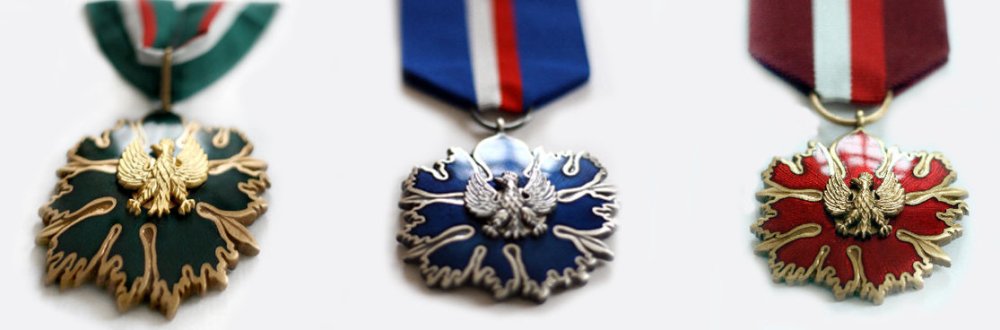 Medal Gloria Artis - Ministerstwo Kultury i Dziedzictwa Narodowego