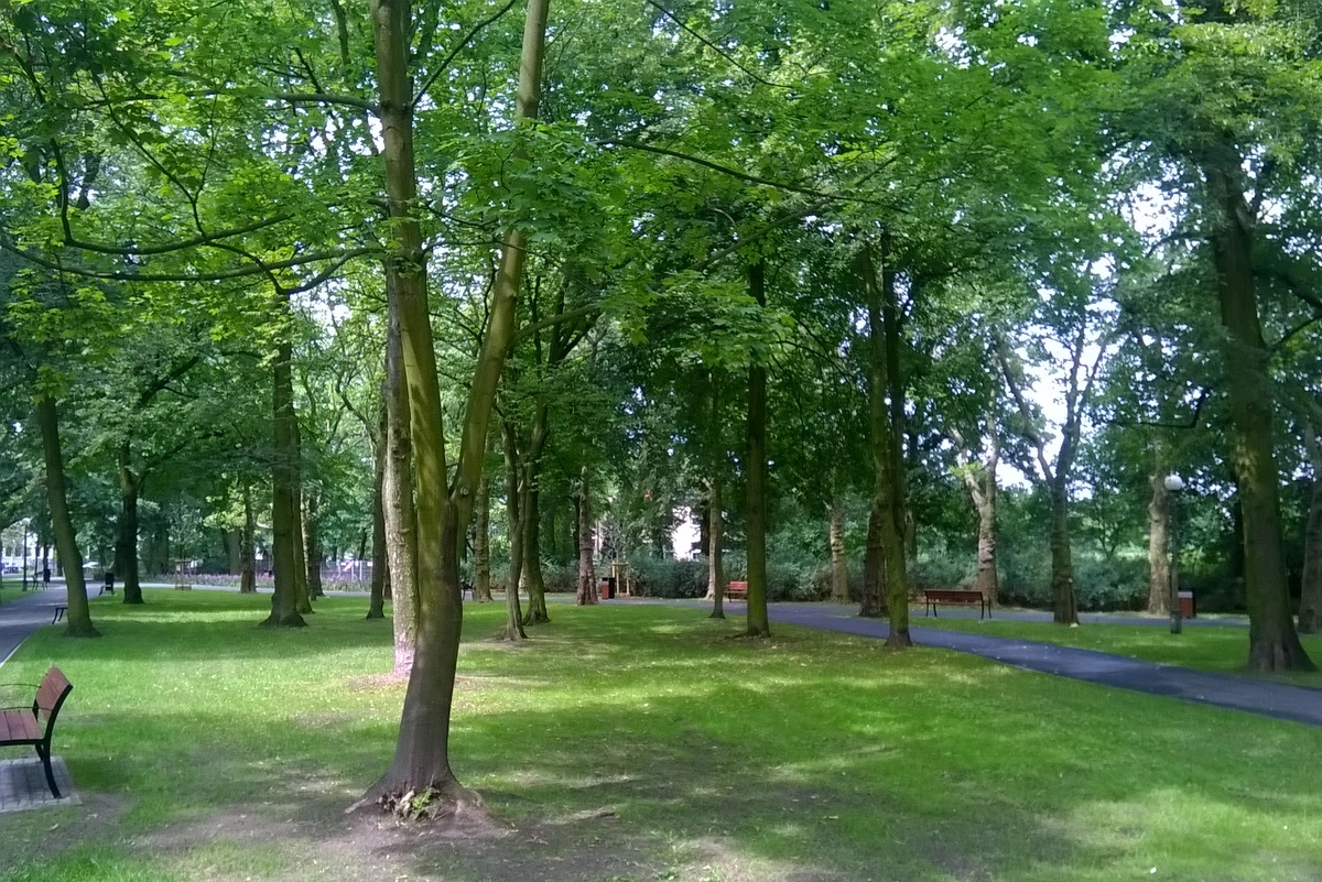 Park na Górczynie - Jacek Butlewski