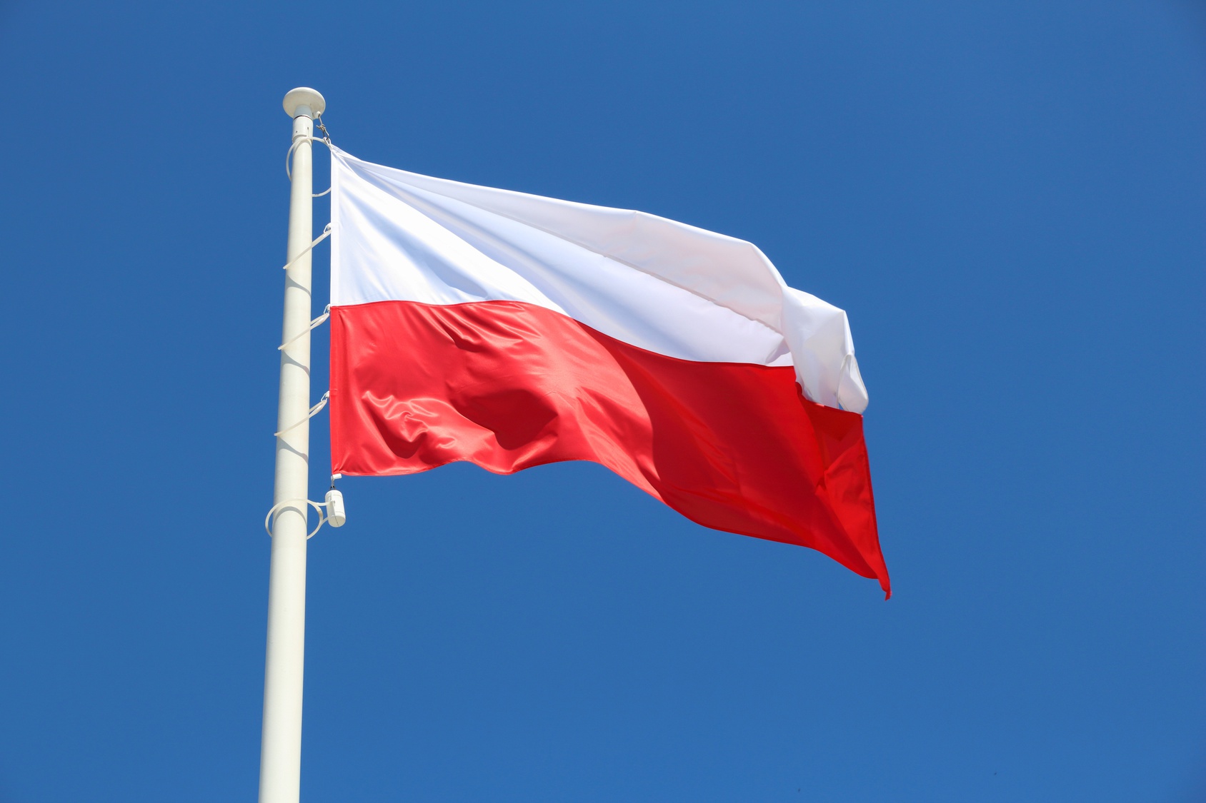 flaga polski polska - Fotolia