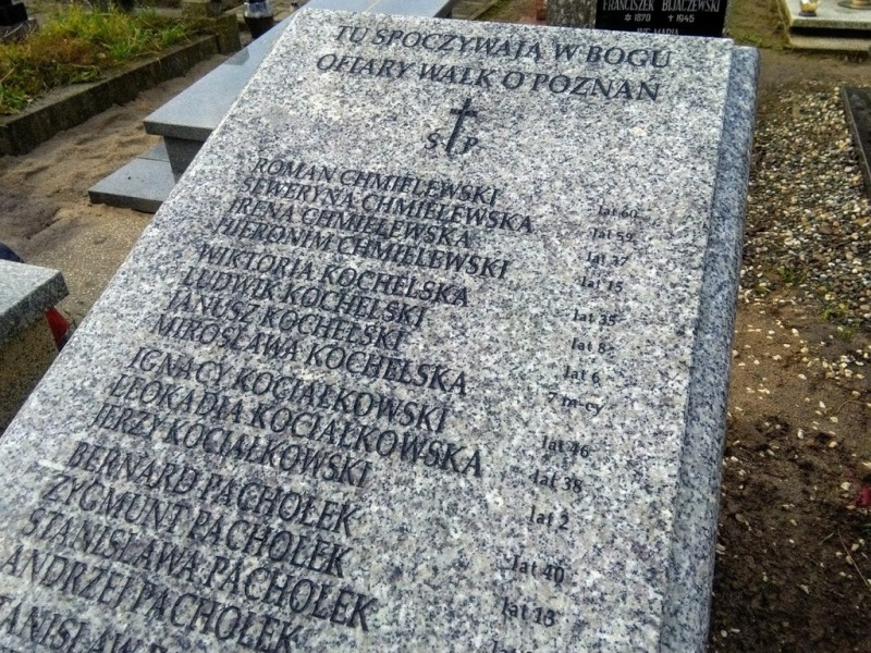 bitwa o Poznań pomnik - IPN Poznań