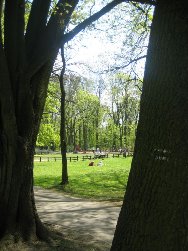 Spacery w Parku Sołackim - Jacek Butlewski