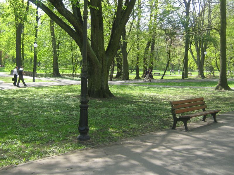 Spacery w Parku Sołackim - Jacek Butlewski