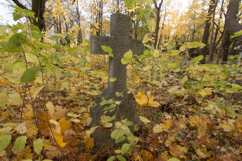 cmentarz przy samotnej - Wojtek Wardejn