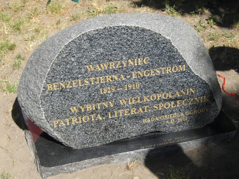 Kamień Wawrzyńca Engestroma - Anna Skoczek