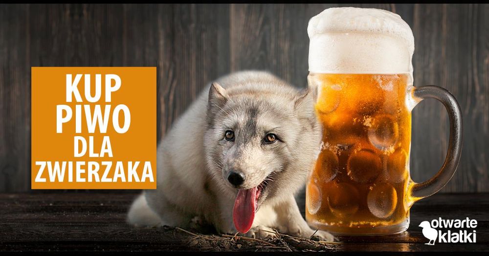 piwo dla zwierzaka - wroclaw.pl
