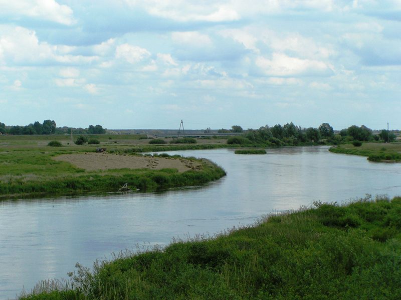 rzeka warta koło - Kolanin//en.wikipedia.org