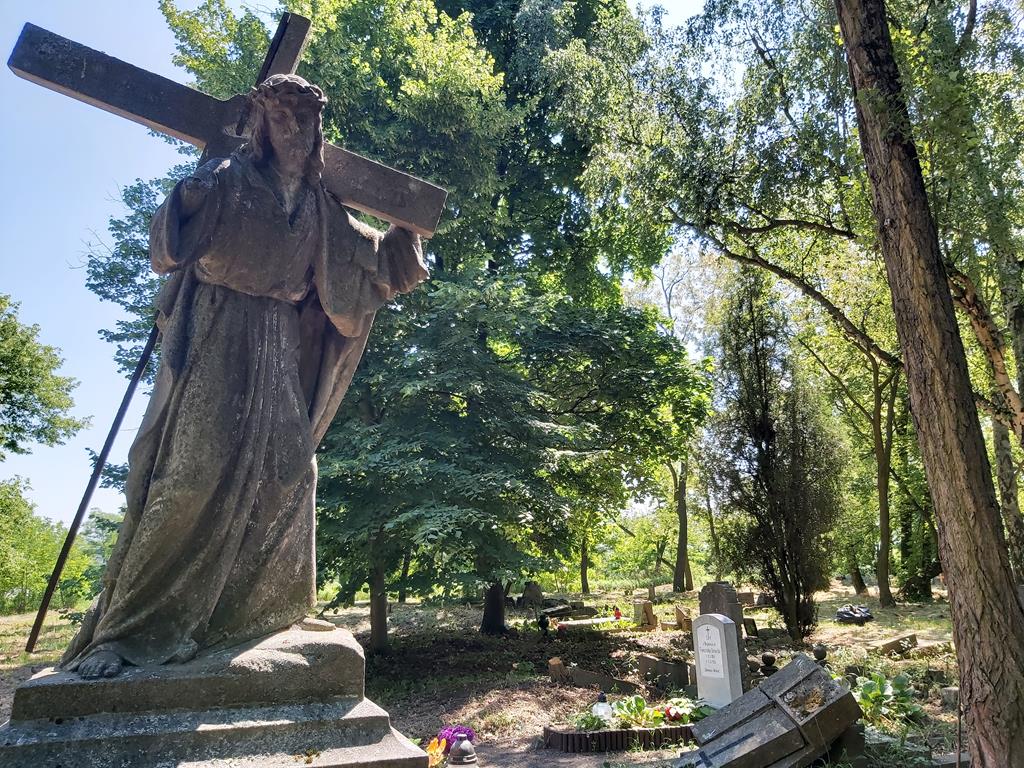 zaniedbany cmentarz ulica samotna w poznaniu - Krzysztof Polasik