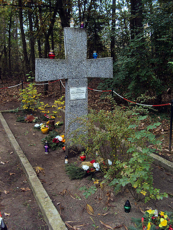 Groby Zakrzewskie, Od 11.1939r. do 1945r. na leśnym obszarze koło miejscowości Zakrzewo odbywały się masowe egzekucje polskich obywateli/fot. uczniowie SP im.A.Lindgren w Dąbrowie