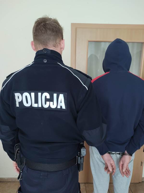 policja areszt podejrzany - Policja Wielkopolska