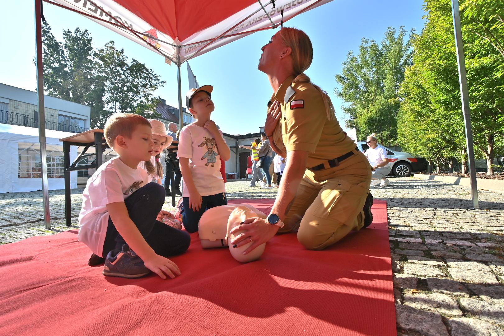 Wojtek Wardejn