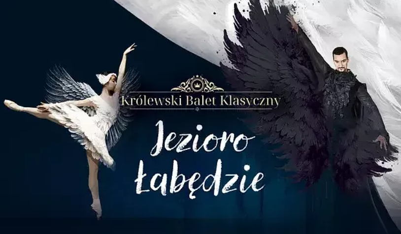 jezioro łabędzie - Organizator