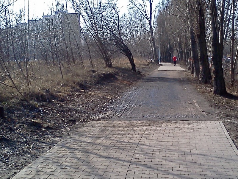 Ścieżka w Parku Rataje - Adam Michalkiewicz