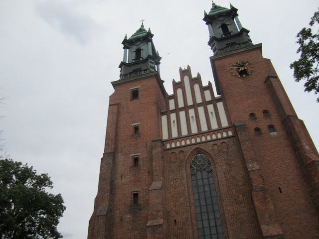 katedra poznańska - Adam Sołtysiak
