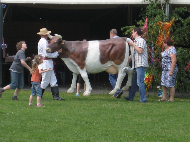 szreniawa krowa 2012 - Wojciech Chmielewski