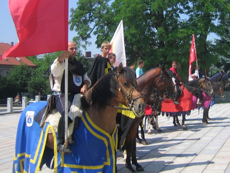 Rycerze z Gniezna pod Grunwald - Rafał Muniak