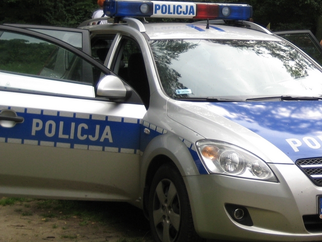 policja - radiowóz w lesie - Anna Skoczek