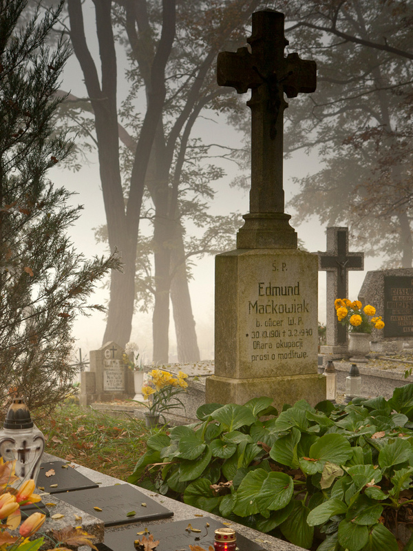 Miejsca pamięci na cmentarzu w Skokach
