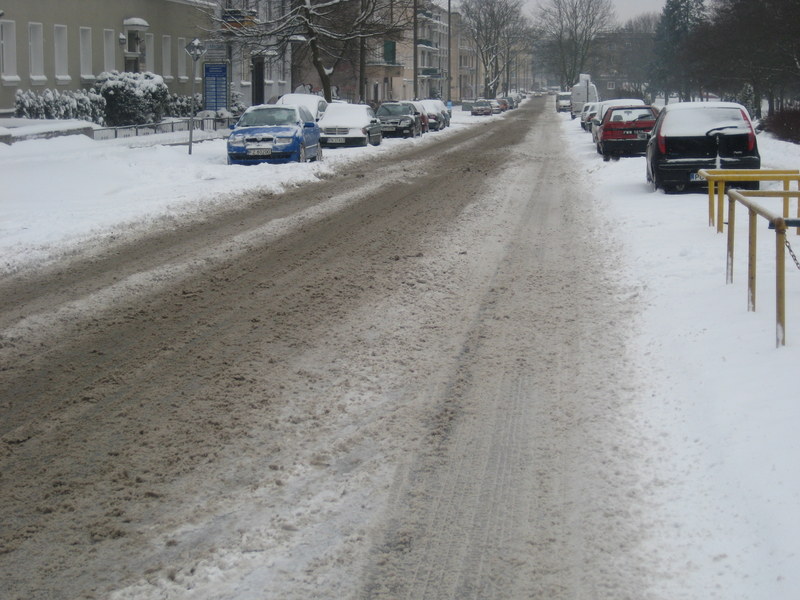 ziman 2013 śnieg, ulica, gołębie (3) - Jacek Butlewski
