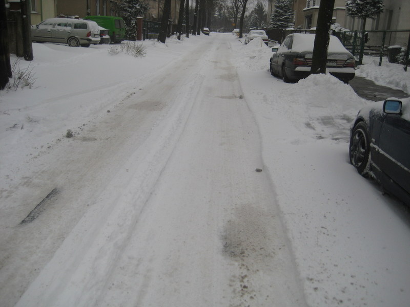 ziman 2013 śnieg, ulica, gołębie (1) - Jacek Butlewski