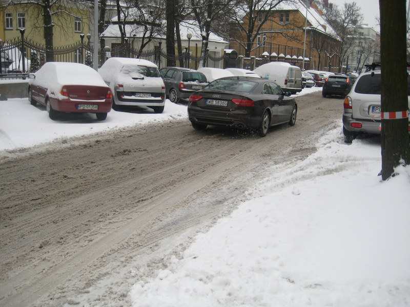 ziman 2013 śnieg, ulica, gołębie (6) - Jacek Butlewski