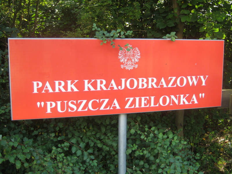 puszcza Zielonka (2) - Jacek Butlewski