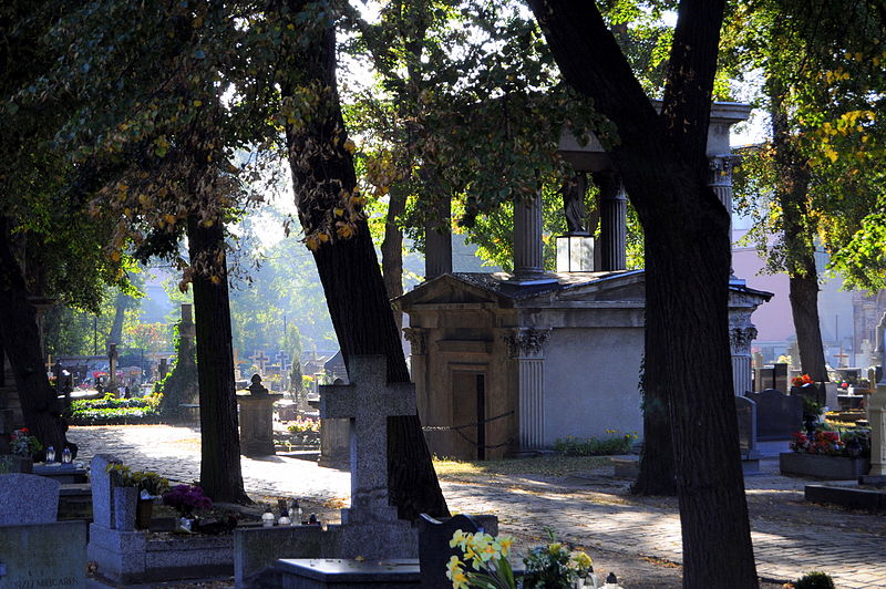 Stary cmentarz w Ostrowie Wlkp - Wikipedia