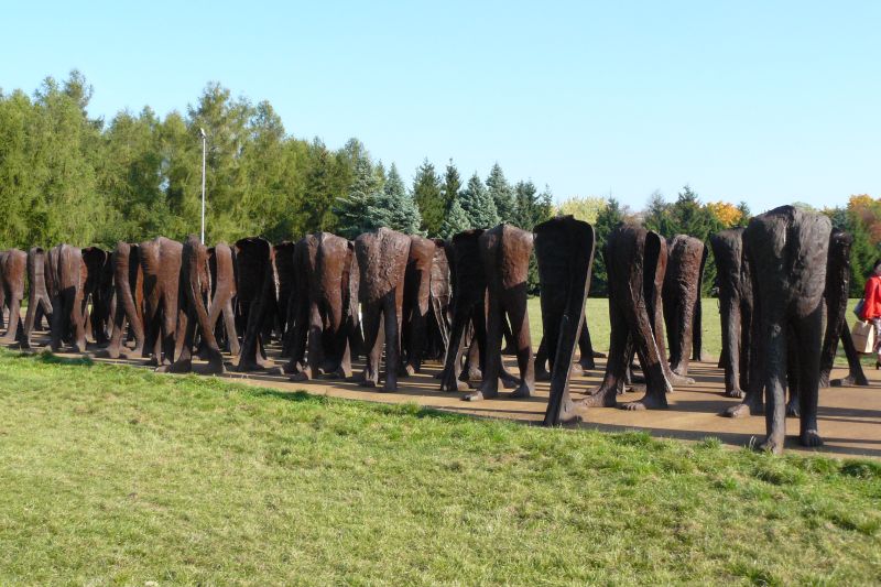 cytadela abakanowicz rzeźby - Adam Sołtysiak