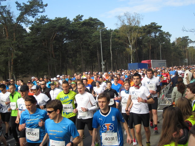 Poznań Półmaraton 2014 (45) - Jacek Butlewski