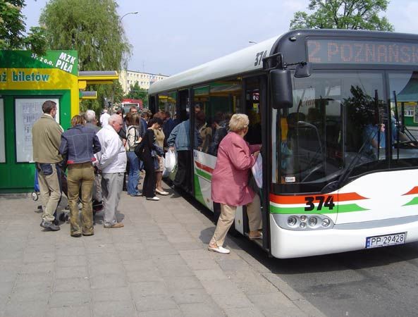 piła autobus mzk - www.mzk.pila.pl