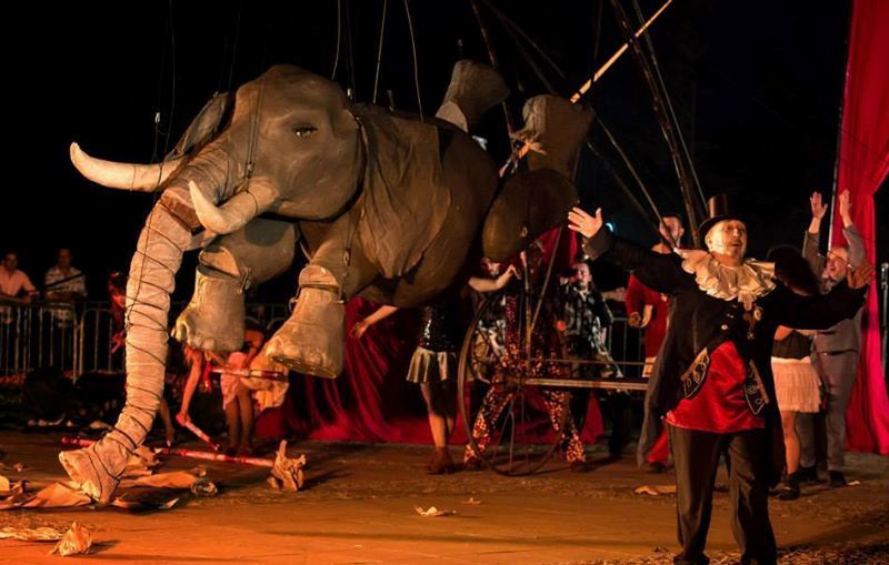 slon dni kultury ulicznej kalisz - Stowarzyszenie BEKA