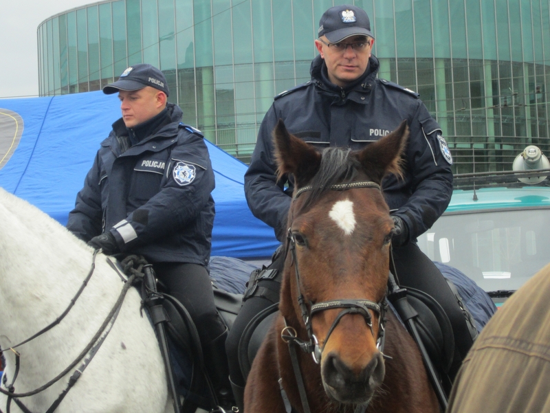 policjanci na koniach - Magda Konieczna