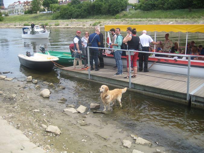 Jacek Butlewski