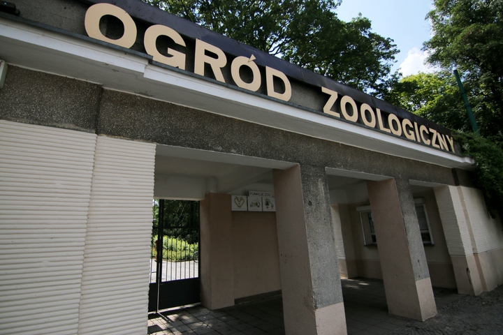 stare zoo wejście - Marcin Wesołowski
