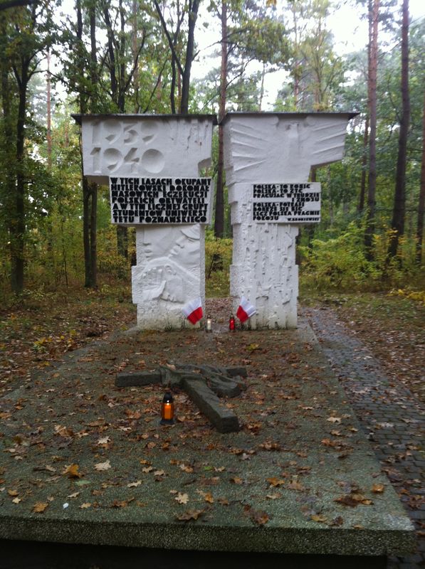 Las Palędzko-Zakrzewski, Głaz w Gołuskach