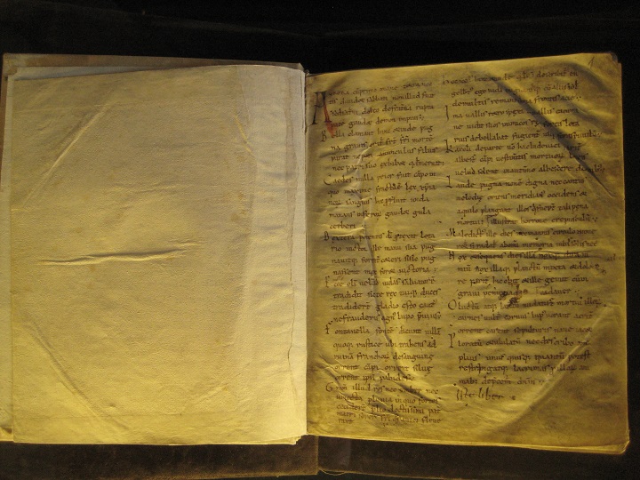 Rękopis wiersza z IX wieku - repr. Rafał Regulski