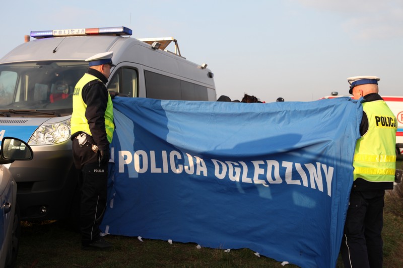 policja oględziny poszukiwania - Policja Poznań