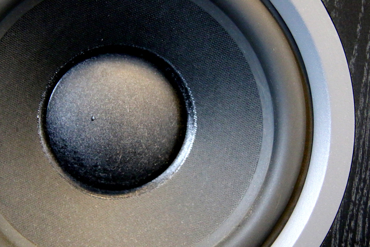 głośnik membrana - Szymon Mazur