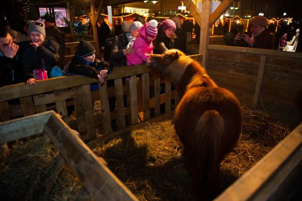 szopka bożonarodzeniowa jarmark w ostrowie - UM Ostrów Wielkopolski