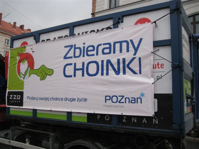 Zbióka choinek - gratowisko - Magda Konieczna