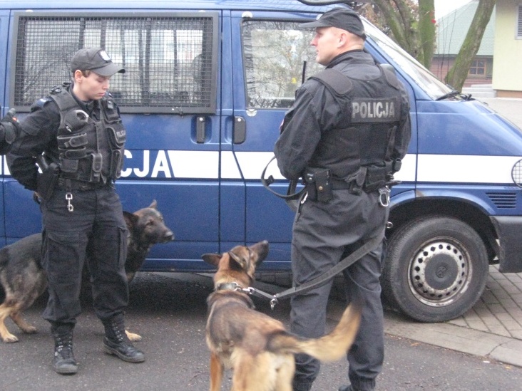 Policja patrol z psami radiowóz - Policja - Policja Kalisz