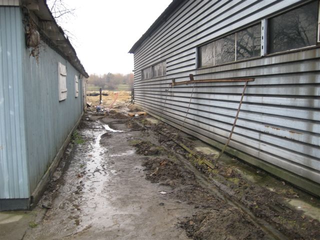 tryton walczy z wodą powódź poznań - Anna Skoczek