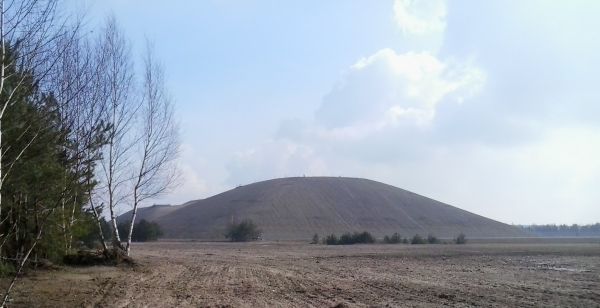 czmoń wysypisko - Rafał Regulski