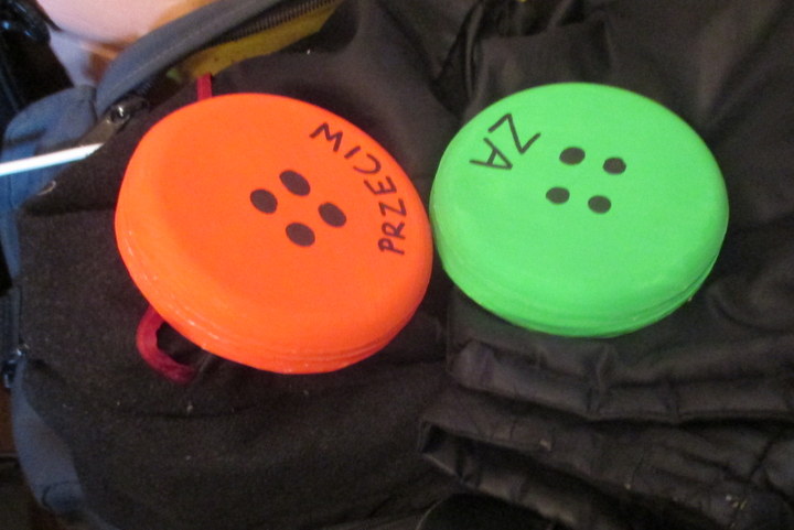 za i przeciw guziki na sesji - Danuta Synkiewicz