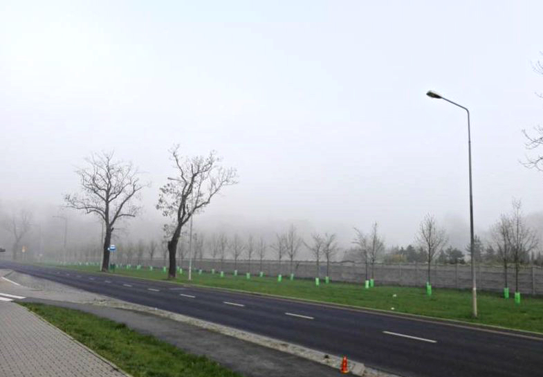 mgła ławica - Adam Michalkiewicz