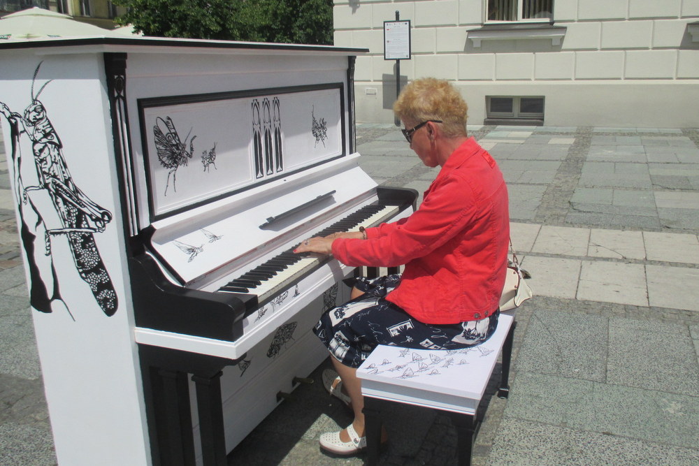 pianina grają w kaliszu - Danuta Synkiewicz